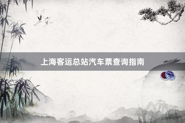 上海客运总站汽车票查询指南