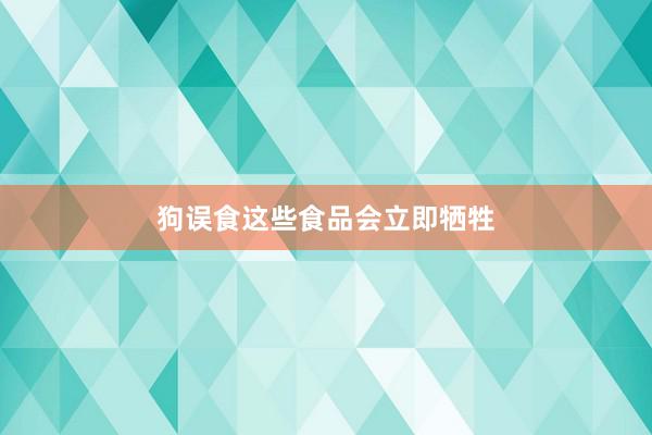 狗误食这些食品会立即牺牲